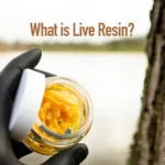 live resin