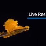 Live Resin