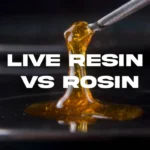 LIVE RESIN