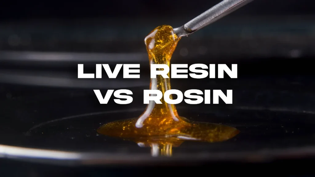 LIVE RESIN